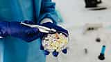 Gloved hands use tweezers to carefully examine a collection of pills in a clear glass petri dish.