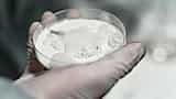 A gloved hand in a laboratory holds a petri dish containing a foamy white substance.