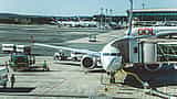 A commercial Boeing 737 MAX airplane parked at an airport gate while ground crew and vehicles prepare it for its next flight.