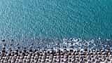 An aerial view of geometric concrete breakwater blocks protecting a shoreline from deep blue ocean waves.