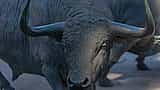 A close-up of a powerful bronze bull statue with large horns, captured outdoors.