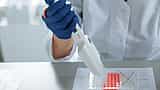 A gloved researcher uses a multi-channel pipette to transfer liquid into a microplate in a laboratory.