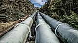 Multiple large industrial pipelines run parallel into the distance through a forest.