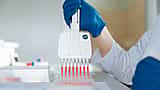 A laboratory technician in blue gloves uses a multichannel pipette to dispense red liquid into a microplate.