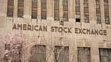 The grand stone facade of the American Stock Exchange building in New York City, partially framed by the green leaves of spring trees.
