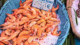 A basket of fresh pink shrimp at a French market displaying a 20 Euro price tag.