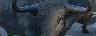 A close-up of a bronze bull statue outdoors under bright sunlight.