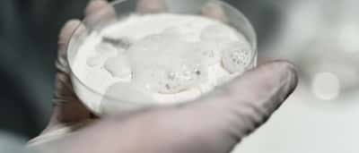 A gloved hand in a laboratory holds a petri dish containing a foamy white substance.