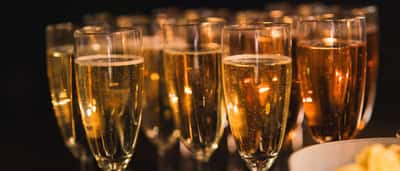 A row of sparkling champagne glasses prepared for a celebratory corporate event.