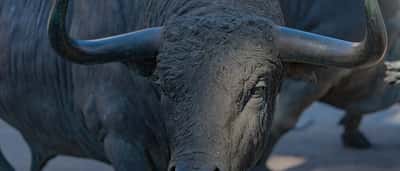 A close-up of a powerful bronze bull statue with large horns, captured outdoors.