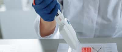 A gloved researcher uses a multi-channel pipette to transfer liquid into a microplate in a laboratory.