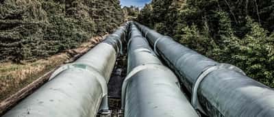 Multiple large industrial pipelines run parallel into the distance through a forest.