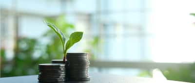 A small green plant sprouts from a stack of silver coins on a desk in front of a bright window.