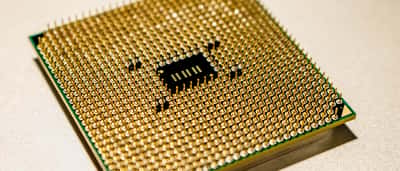 A close-up view of the golden pins on the underside of a central processing unit (CPU).