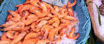 A basket of fresh pink shrimp at a French market displaying a 20 Euro price tag.