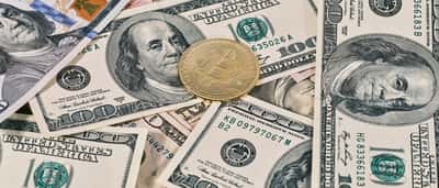 A golden Bitcoin rests on a scattered pile of United States hundred-dollar bills.