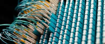 Close-up of optical fiber cables connected to ports on a blue network patch panel.