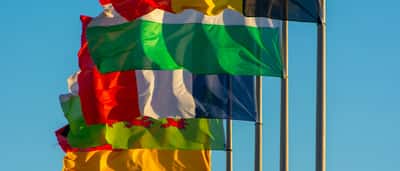 A dense cluster of various national flags waving together against a bright blue sky.