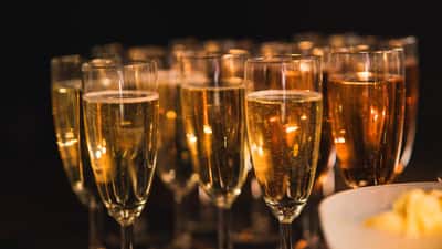 A row of sparkling champagne glasses prepared for a celebratory corporate event.