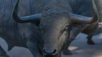 A close-up of a powerful bronze bull statue with large horns, captured outdoors.
