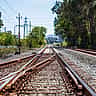 A sunlit railroad track splitting into two directions in a bright, green landscape.
