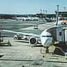 A commercial Boeing 737 MAX airplane parked at an airport gate while ground crew and vehicles prepare it for its next flight.
