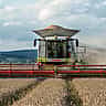 A massive combine harvester cutting through a golden wheat field with grain piled high in its hopper.