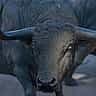 A close-up of a powerful bronze bull statue with large horns, captured outdoors.
