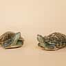 Two turtles rest facing opposite directions against a seamless beige studio background.