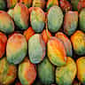 A large pile of ripe mangoes with vibrant green, red, and yellow skin.