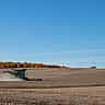 A green combine harvester kicks up dust as it works through a large, rolling field of soybeans under a clear blue sky.