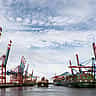 An incoming cargo ship is framed by towering rows of industrial cranes at a massive container port.
