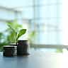 A small green plant sprouts from a stack of silver coins on a desk in front of a bright window.