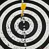 A single dart rests in the bullseye of a black and white target board.