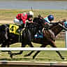 Two racehorses and their jockeys gallop neck and neck along a dirt track.