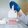 A laboratory technician in a white coat and blue gloves uses a multichannel pipette to dispense liquid into a testing plate.