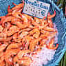 A basket of fresh pink shrimp at a French market displaying a 20 Euro price tag.