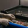 Gloved hands carefully organize medical vials in a sterile laboratory setting.