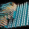 Close-up of optical fiber cables connected to ports on a blue network patch panel.