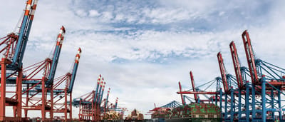 An incoming cargo ship is framed by towering rows of industrial cranes at a massive container port.