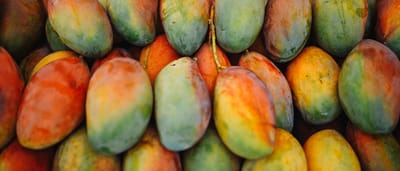 A tight, colorful shot of a pile of fresh, ripe mangoes.