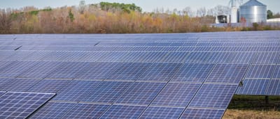 A vast array of blue solar panels stretches across a utility-scale solar farm.
