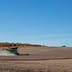 A green combine harvester kicks up dust as it works through a large, rolling field of soybeans under a clear blue sky.