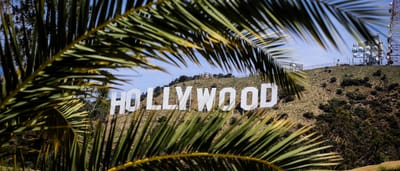 The iconic Hollywood sign on a sunny day in Los Angeles, California, framed by green palm leaves.